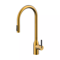 Смеситель для кухни Paulmark UNIVERSAL Un213880-BG, с подключением к фильтру, золото брашированное