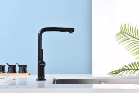 Смеситель для кухни Paulmark Neo Ne214419-AN, антрацит