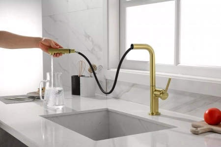 Смеситель для кухни Paulmark Neo Ne214419-BG, золото брашированное