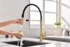 Смеситель для кухни Paulmark Halt Ha214021-LG, зотоло