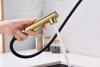 Смеситель для кухни Paulmark Neo Ne214419-LG, зотоло