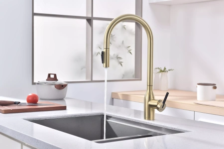 Смеситель для кухни Paulmark UNIVERSAL Un213880-LG, с подключением к фильтру, зотоло
