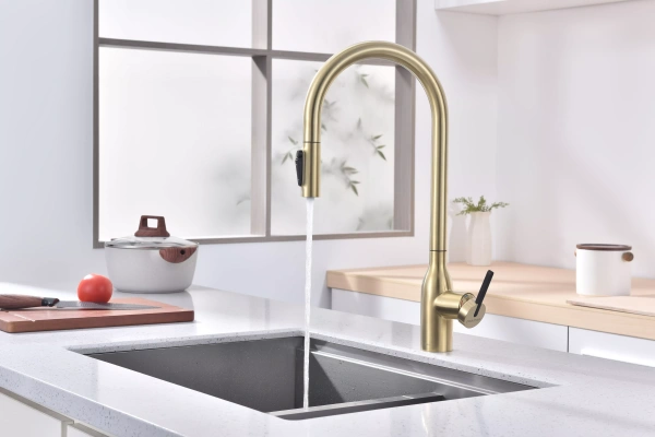 Смеситель для кухни Paulmark UNIVERSAL Un213880-LG, с подключением к фильтру, зотоло