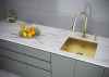 Дозатор для кухонной мойки Paulmark DECUS D004-LG, зотоло
