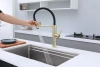 Смеситель для кухни Paulmark GANYMEDE Gd613199-LG, с подключением к фильтру, зотоло