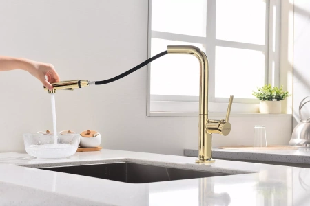 Смеситель для кухни Paulmark Neo Ne214419-G, золото