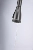 Смеситель для кухни Paulmark LANGE La214212-GM, с подключением к фильтру, вороненая сталь