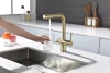 Смеситель для кухни Paulmark SERPENTINE Se213222-LG, с подключением к фильтру, зотоло