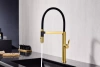Смеситель для кухни Paulmark Leader Le214101-BG, с гибким изливом, золото брашированное