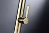 Смеситель для кухни Paulmark Leader Le214101-G, с гибким изливом, золото