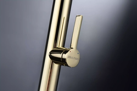 Смеситель для кухни Paulmark Leader Le214101-G, с гибким изливом, золото