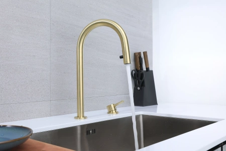 Смеситель для кухни Paulmark ESTETICA Es218006-LG, зотоло