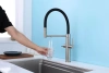 Смеситель для кухни Paulmark NEXUS Ne213999-BS, с подключением к фильтру, сталь