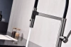 Смеситель для кухни Paulmark Leader Le214101-GM, с гибким изливом, вороненая сталь