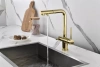 Смеситель для кухни Paulmark SERPENTINE Se213222-G, с подключением к фильтру, золото