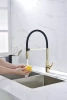 Смеситель для кухни Paulmark Halt Ha214021-G, золото