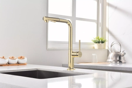 Смеситель для кухни Paulmark Neo Ne214419-G, золото