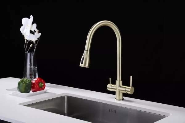 Смеситель для кухни Paulmark LANGE La214212-BR, с подключением к фильтру, бронза