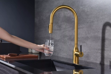 Смеситель для кухни Paulmark UNIVERSAL Un213880-BG, с подключением к фильтру, золото брашированное